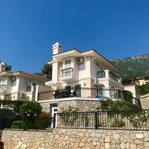 Artemisia , Ovacik (Fethiye) Turkey